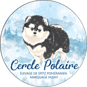 logo Spitz nain Poméranien - Elevage de spitz